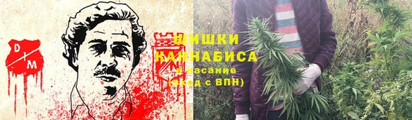 спайс Богородск