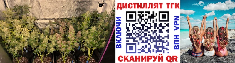 Дистиллят ТГК вейп  даркнет сайт  Горячий Ключ 
