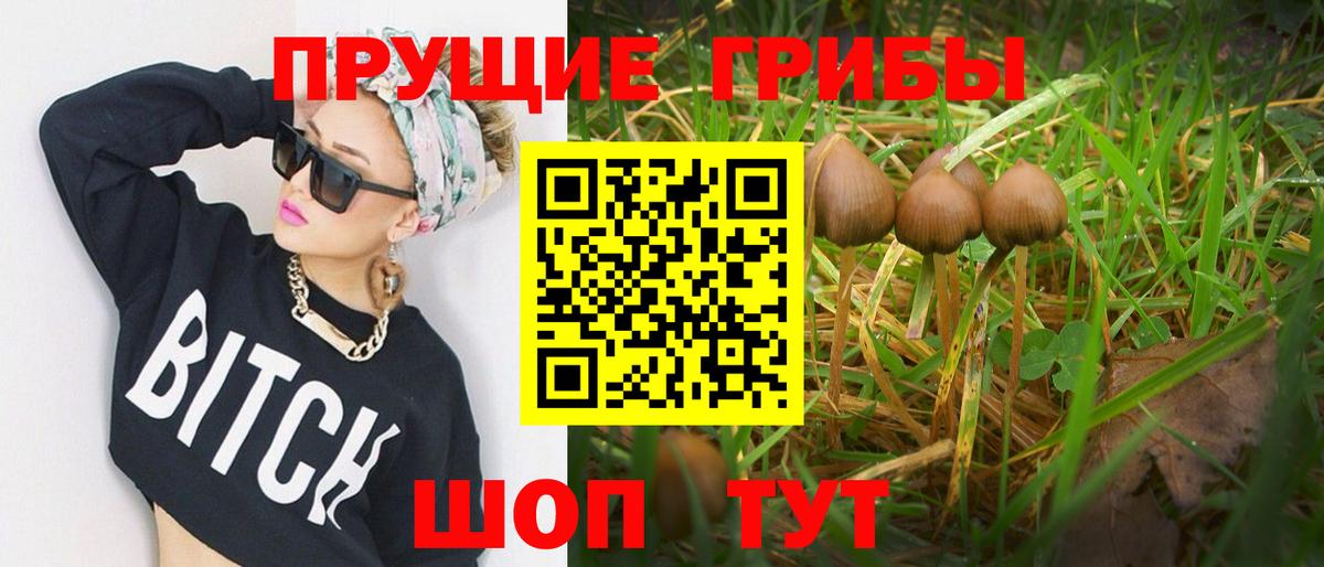 Горячий Ключ  Псилоцибиновые грибы мухоморы  Псилоцибиновые грибы ЛСД  Вход с VPN 